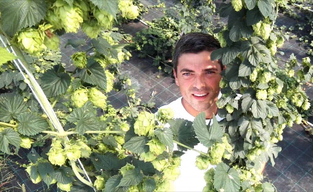 alessio saccoccio luppolo idroponico