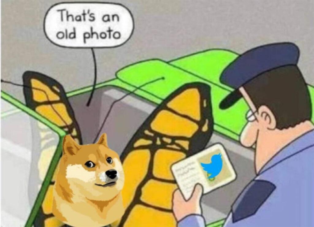 Chairman:“Compra twitter e cambia il logo con un doge” Elon Musk: “Sarebbe pazzesco”