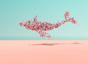 Le startup della Blue Economy, un business che vale 143 miliardi