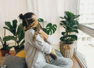 Pet-tech, un’industria in rapida crescita