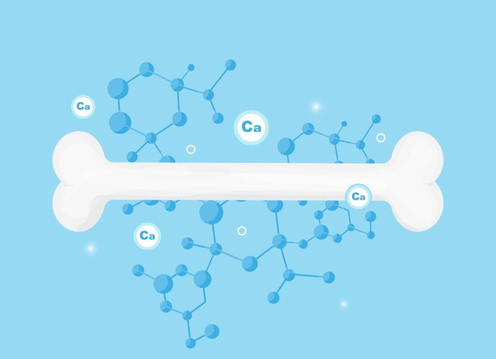 Sostenibili fino all’osso. Il claim di SuperGround, una startup finlandese.